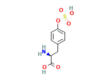 2D structure of O-Sulfo-L-tyrosine